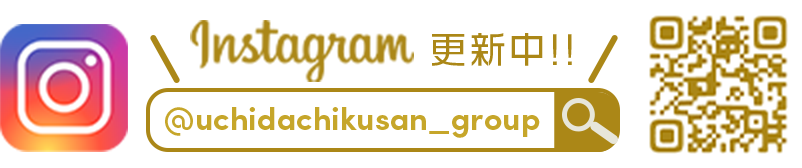 Instagram更新中